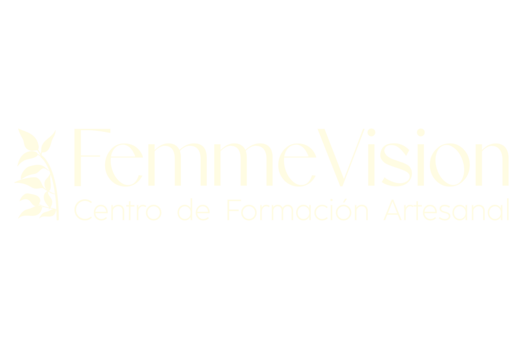 logo femmevision web
