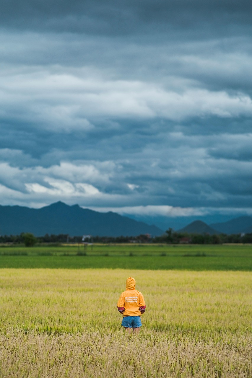farming, vietnam, overcast, cloudy day, landscape, sky, nature, farming, landscape, landscape, sky, sky, sky, sky, sky
